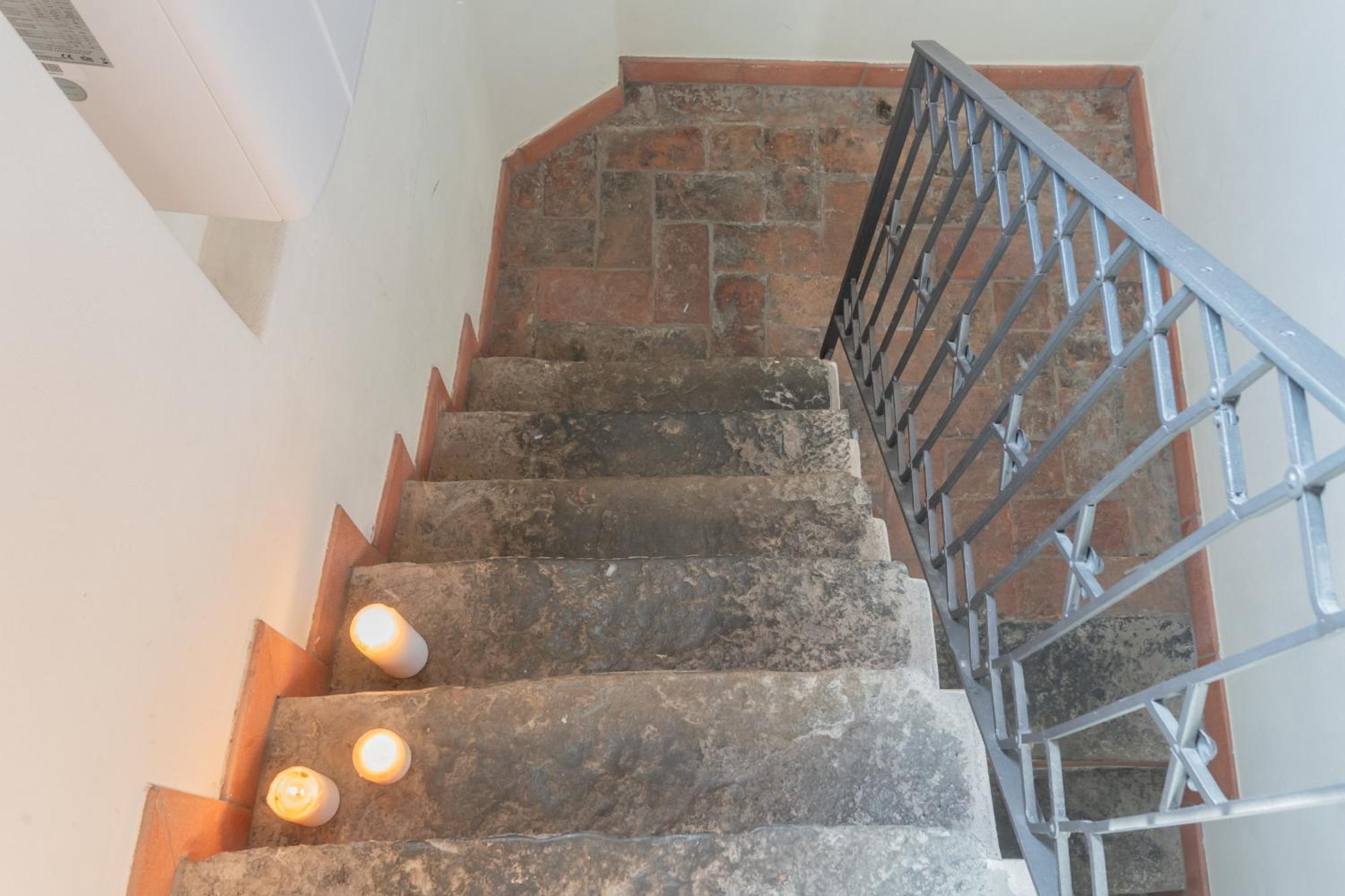 Domus In By Rent